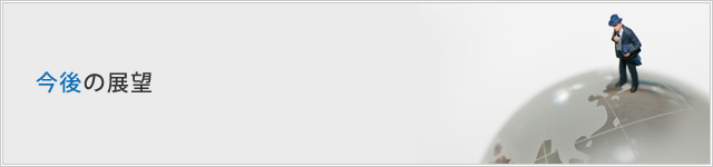 今後の展望
