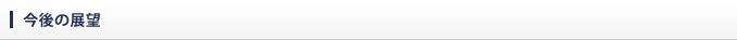 今後の展望